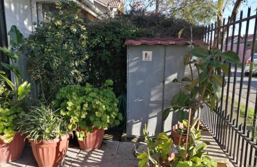 Santa Cruz Bed & Breakfast | Casa Roble Añejo Bed & Breakfast