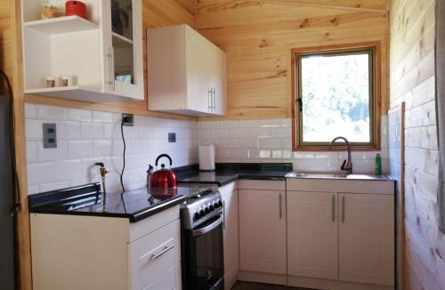 Pucon House | Parque Relicura