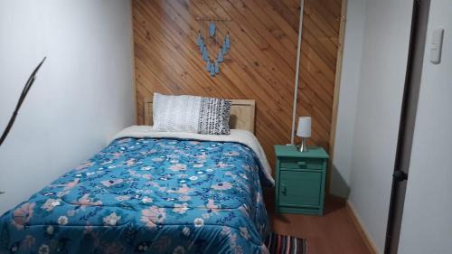 Castro House | HOSTAL VOLANTIN CHILOE