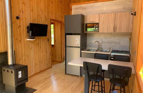 Pinto Ski Chalet | Cabañas Los Nevados