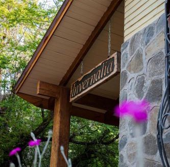 Pinto Hostel | Refugio Invernalia