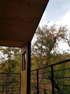 Pinto Cabin | Vivelodge