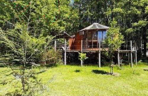 Villarrica Cabin | Cabañas Agua Viva