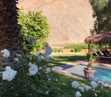 Pisco Elqui Bed & Breakfast | Hotel Misterios del Elqui