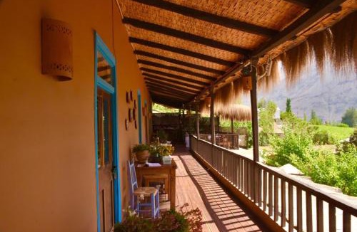 Pisco Elqui Bed & Breakfast | Hotel Misterios del Elqui