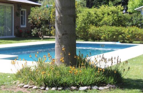 Benavidez House | Paraiso Encontrado