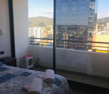 Concepcion Apartment | Departamento Freire 1062