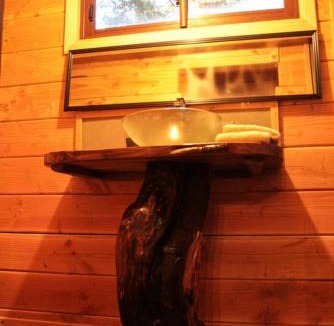 Panguipulli Cabin | Cabañas Bosque Milenario