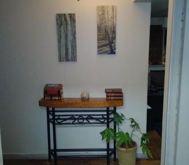 Osorno Apartment | Ankar Apartamento Plaza