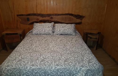 Malalcahuello Ski Chalet | CABAÑAS BOSQUE NEVADO