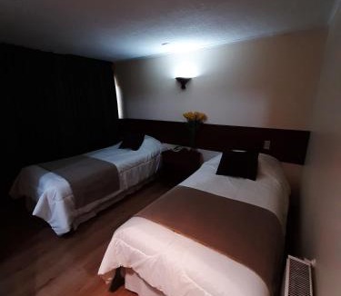 Talca Hotel | Nativo Hotel y Cafeteria