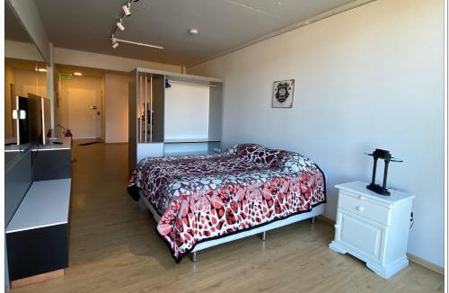 Province of Tierra del Fuego Apartment | Cambaceres Apart B