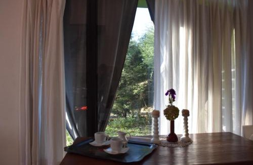 Calamuchita Valley Apartment | Celandine