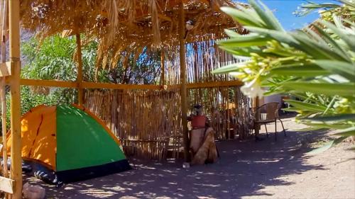 Vicuna Resort | Astro Camping Elqui Experience