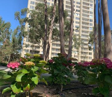 Mirasol Apartment | Departamento Algarrobo Los Olivos