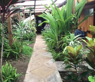 Hanga Roa House | Hostal Vaihere