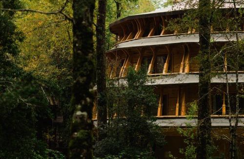Neltume Cabin | Huilo Huilo Reino Fungi