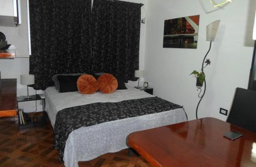 Constitucion Apartment | Puerta a San Telmo