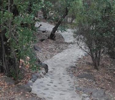 El Ingenio Cabin | Refugio Piedra Madre