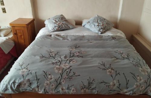 Villarrica Bed & Breakfast | Omi Kika B&B