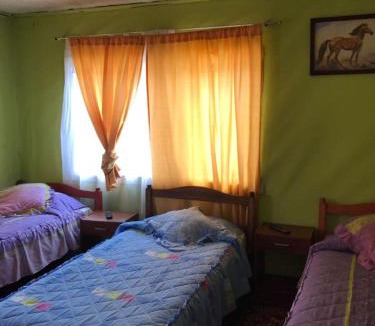 Osorno Bed & Breakfast | Hospedaje Freire
