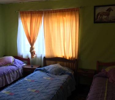 Osorno Bed & Breakfast | Hospedaje Freire