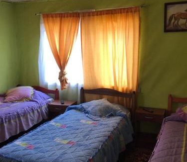Osorno Bed & Breakfast | Hospedaje Freire