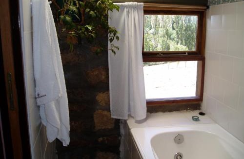 Andacollo Ski Chalet | Alauri Ñire