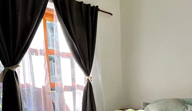 La Pichonita