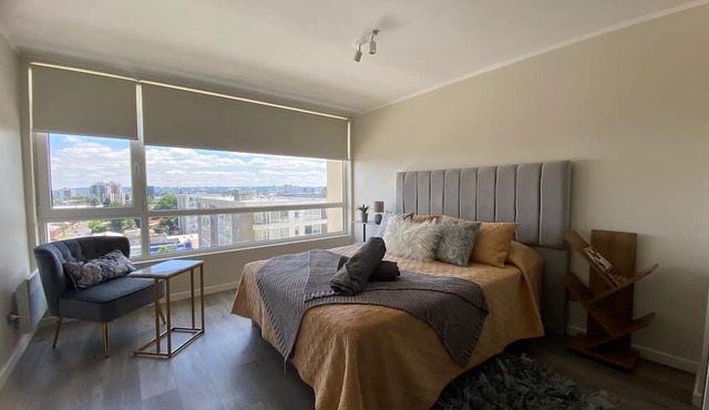 Temuco suite