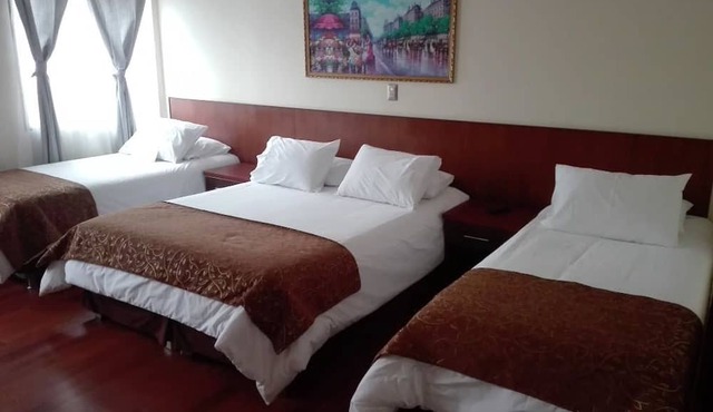 Hotel Newen