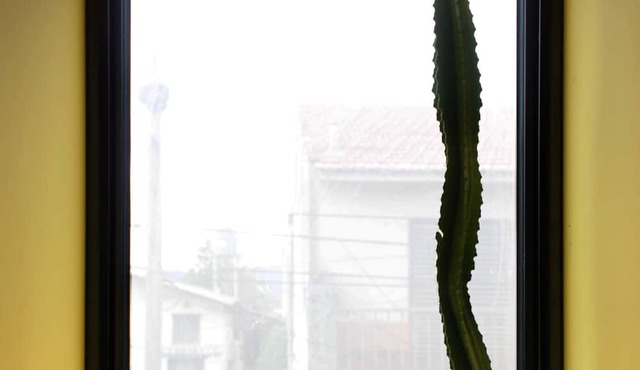 Cercano al centro de la ciudad pero en un barrio tranquilo, rodeado de árboles. in San Salvador de Jujuy