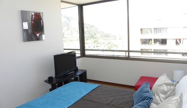 Gorgeous View Apartment Santiago, Recoleta, Chile