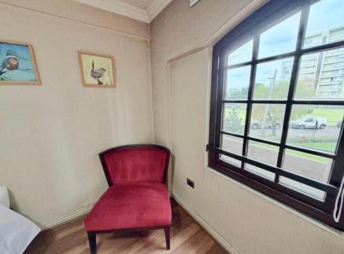 departamento pet friendly