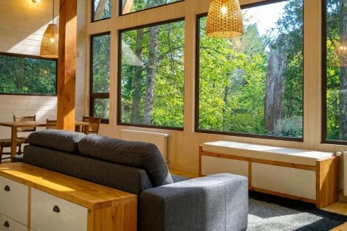 Casa inmersa en bosque de la Reserva Huilo Huilo