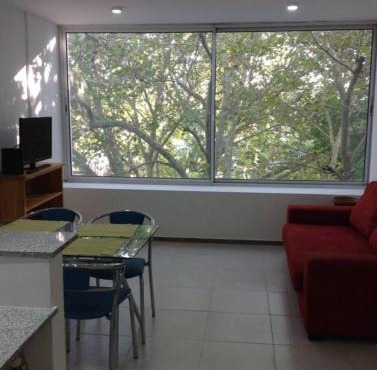 Departamento Ventanal! in La Plata