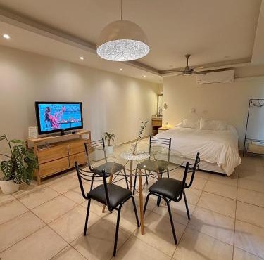 Verde Limon Loft (monoambiente)