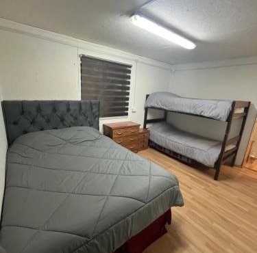 Central Apartment