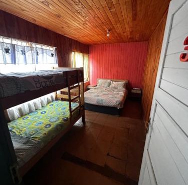 Hostal Palguin 261