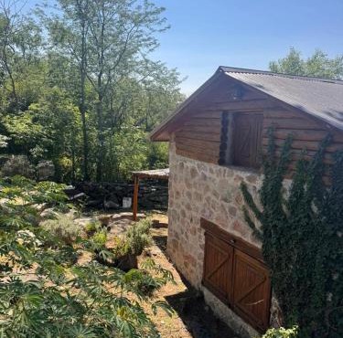 Stone Cabin, PETRA HAUS