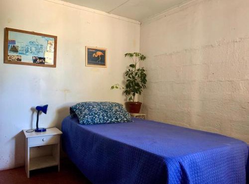 Casa cerca de Ovalle o Punitaqui con árboles y patio