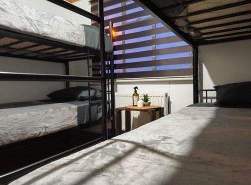 Vive Hostel