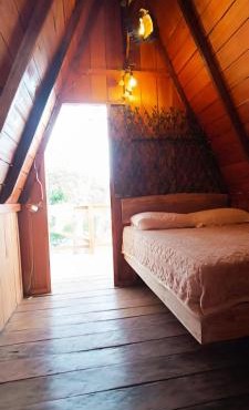 Amazon Private Tours Jungle Lodge in Manacapuru