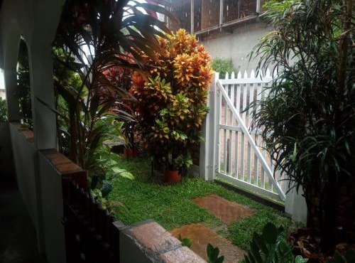 Garden House - Atins in Atins