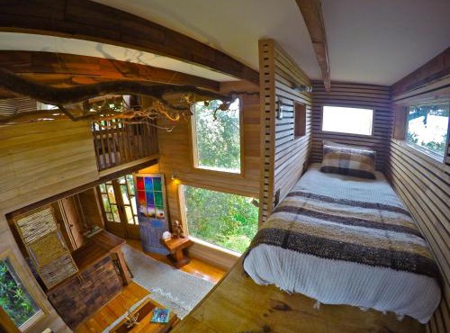La Casa Del Árbol De Chiloé