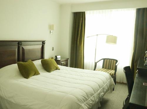 Hotel Terrano Concepción