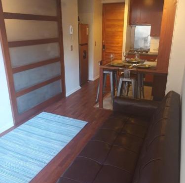 Acogedor y renovado Departamento