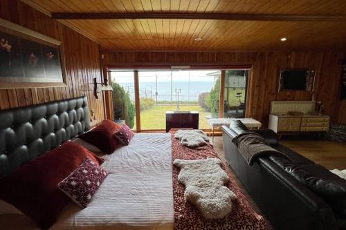 Incredible House in front of Strait of Magellan