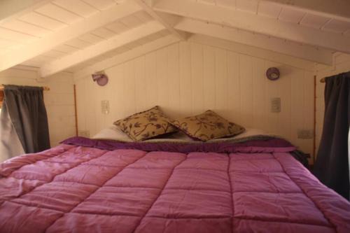 Tiny House Rucalhue