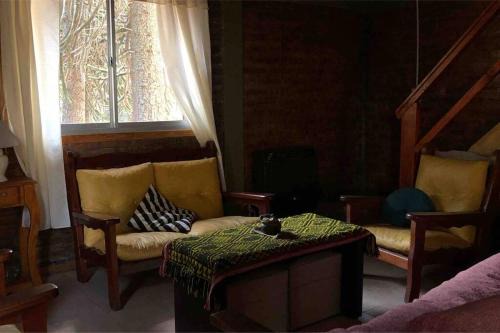 Casa Pehuenia, linda cabaña a pasos del Lago